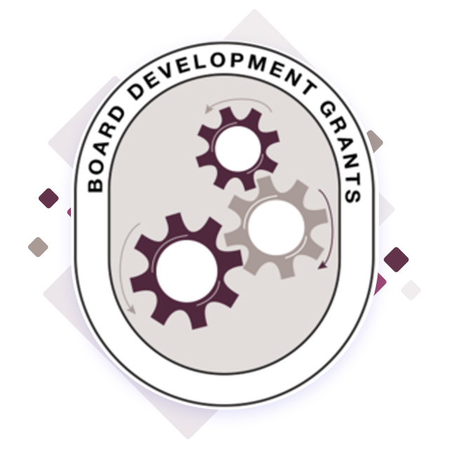 Board Development Grants
